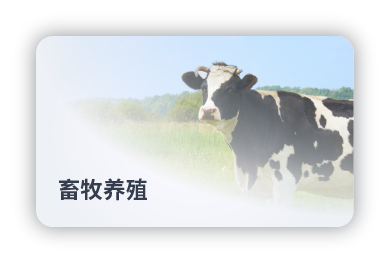 畜牧养殖