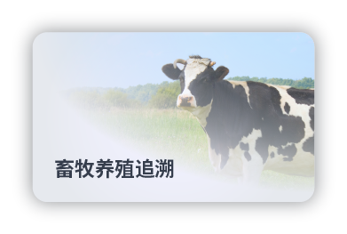 畜牧养殖追溯